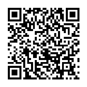 而且在打过鞭后也不能用灵丹妙药和灵气恢复自己的伤势二维码生成