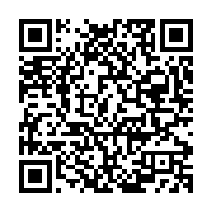 而且在龙傲天的体内现在还残留着大部分寒冰老祖的冰寒之力二维码生成