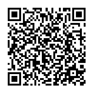 而且就在刚才对方出现的刹那对方身上的波动明显没有达到圣祖的级别二维码生成