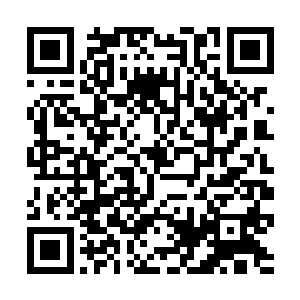 而且我也一直认为你就是那个能够为了解开谜团的人二维码生成