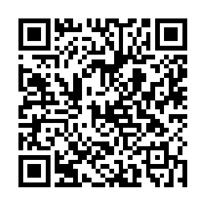 而且我们走着的这条大路是从金陵府到码头的必经之路二维码生成