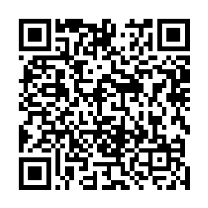 而且我最先闻到的那股子腥臭味也是从墙上的符号传来的二维码生成