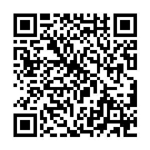 而且据说石爱国当这个统战部长是被罗明江狙击了的二维码生成