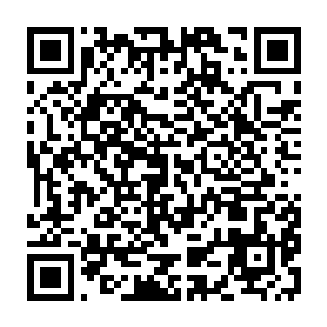 而且整个建筑和平台完成之后都是架空到离地一米高的仅有两个学生的学校二维码生成