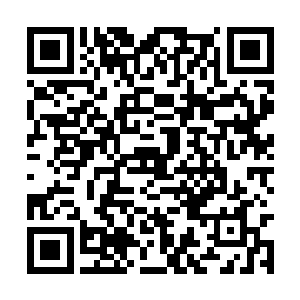而且新任礼部尚书周洪谟还当了方应物的媒人角色二维码生成