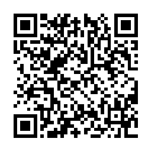 而且是万众瞩目炙手可热的城建投这个新生事物上二维码生成