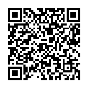 而且正是因为屠凛真君在泉星宗外一战的英勇之举二维码生成