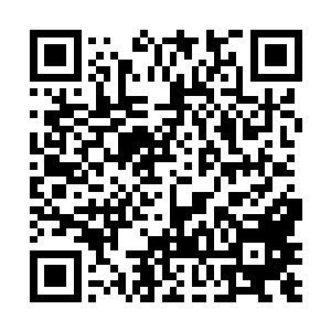而且王二也发现这城市里的很多房子都只是一些小问题二维码生成