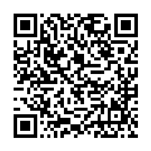 而且由于人数太多的缘故所有的火龙族都变成了人形二维码生成