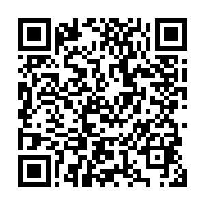 而且直接就入住在卡鲁尔城要举行拍卖会的索尔斯酒店内二维码生成