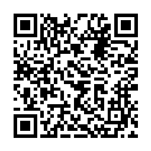 而且等到司见御的这个儿子真的长大到能接手gk集团二维码生成