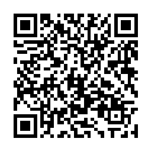 而且红济堂的海龙蛤蚧汤更是出了名的坚硬三百年二维码生成
