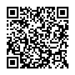 而且老白也不会同意你在菲律宾这样搞武力动作二维码生成