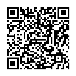而且考虑到今年算是市委办市府办几个兄弟姐妹一起团年了二维码生成