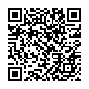 而且能来到魔窟之地的十煞堡弟子定然也个个都不弱二维码生成