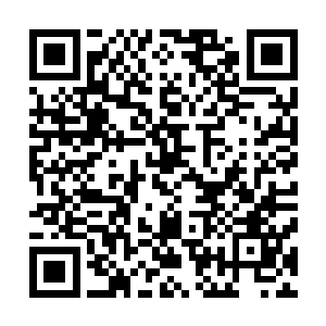 而且让他激动不已的时体内竟然又出现了一条条细小的经脉二维码生成