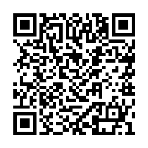 而且貌似极寒领域内除了火之力会被严重压制外二维码生成