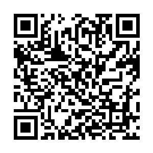 而且还是至少5个冒险者带着一个斯旺小姐集体传送二维码生成