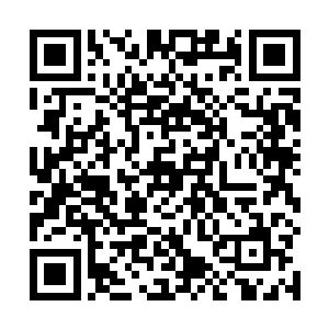 而且还是这个队伍中年龄最小看上去也最不起眼的西浅二维码生成