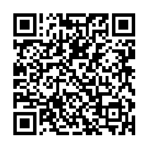 而且这么多的渔如何推向市面新井商社要占几成也是要商量的二维码生成