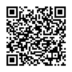 而且这些人无一不是仙界之中鼎鼎大名的顶尖的强者二维码生成
