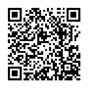 而且这头虎鲸不光是马特箭号上所有的船员都认识二维码生成