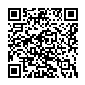 而且这本天击术好像还可以领悟更高层次的剑法二维码生成