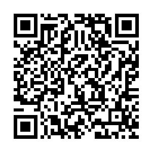 而且这还是和与高扬他们合作的安保公司对半分之后的到手的钱二维码生成
