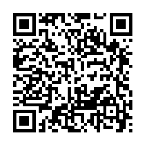 而且那灵果的能量精纯程度跟金元果更是无法相比二维码生成