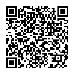 而且龙傲天昨天昨天还发现了很多果子都是一些不错的酿酒的材料二维码生成