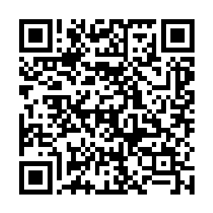 而两个小家伙――杰克三世和特蕾莎却是拍手在欢呼着二维码生成