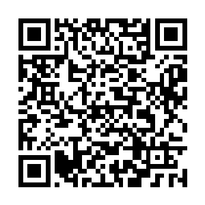 而二货这家伙之前可是吸收了太多太多的神魂之力二维码生成