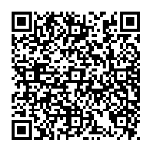 而从君王船被传送到这片沙漠的仙王强者此刻全都在法则瀑布之中疯狂的吸收法则之力二维码生成