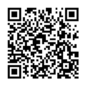 而他们现在这些人自然理所当然的接收蜜怡的一切二维码生成