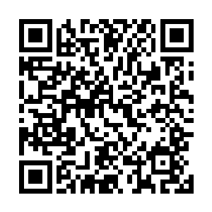 而伴随着这盘古之灵的力量被楚旬一步一步的接受和融入二维码生成