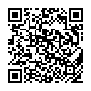 而使用获取大量财富建设起这座焚伯特集中转站二维码生成