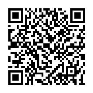 而切萨雷为珍妮安排的试镜就是次要角色的机会二维码生成