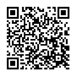 而刚刚发出这声吼声的新生们显然也意识到这种效果二维码生成