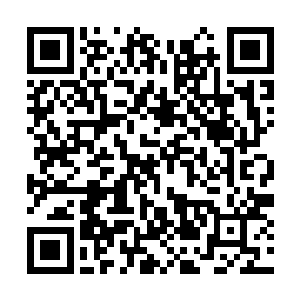 而剩下的包括两名队长都不知道金强的去向与目的二维码生成