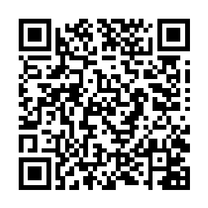 而原本可能是尖角的地方镶嵌了一枚卵形的黑色元晶二维码生成