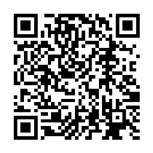 而原本跟着白子河一起商量的修罗和娜丽丝看着苏凡的样子二维码生成