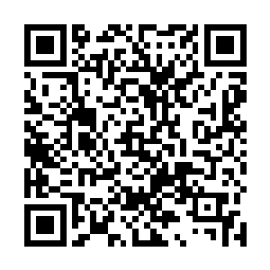 而反弹回来的攻击反而让发动攻击的鬣族战士受伤不少二维码生成