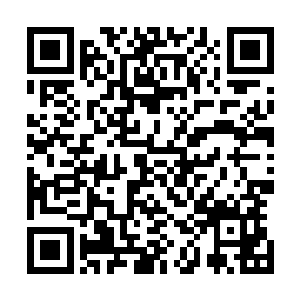 而只有轻武器的科尔曼和沙暴佣兵团却完全没有反击的手段二维码生成