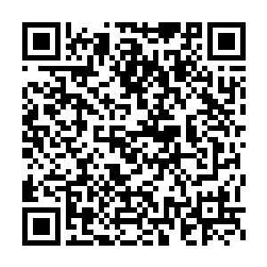 而后将目光转移至身旁的夜影以及公告牌前准备偷偷溜走的林辰身上二维码生成
