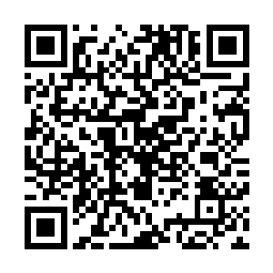 而周围的几个人在杨戬的冷哼一声顿时也是再一次回过神来二维码生成
