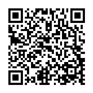 而唯一的办法就是在娑娜下葬的墓地下面事先挖好一个地道二维码生成