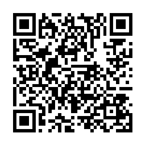 而在他们身后有着好几个脸色发黑的灵体看着他们二维码生成