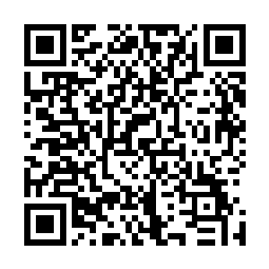 而在国内整容整形市场难以在质量和效果上满足国内需求时二维码生成