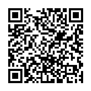 而在笛满目复杂的用肉眼打量着面前那巨大的蔚蓝星球的时候二维码生成