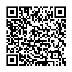 而在这个地方那龙傲天还发现了一种特殊的果子二维码生成